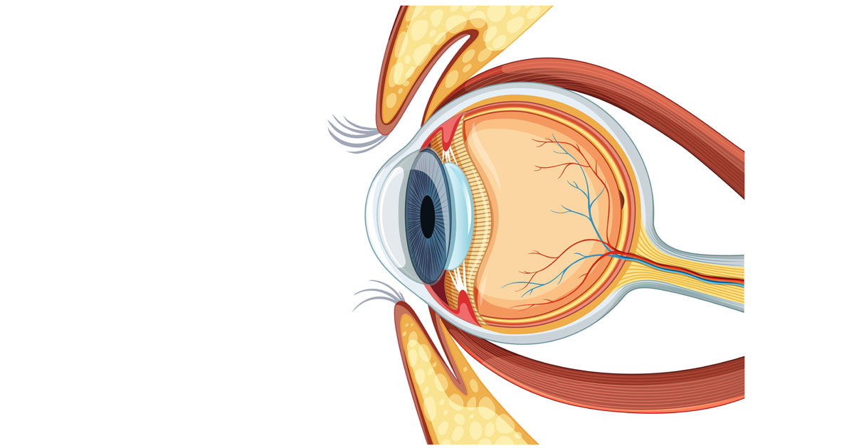 Behandling av grønn stær tar sikte på å senke øyetrykket og forhindre ytterligere skade på synsnerven. 